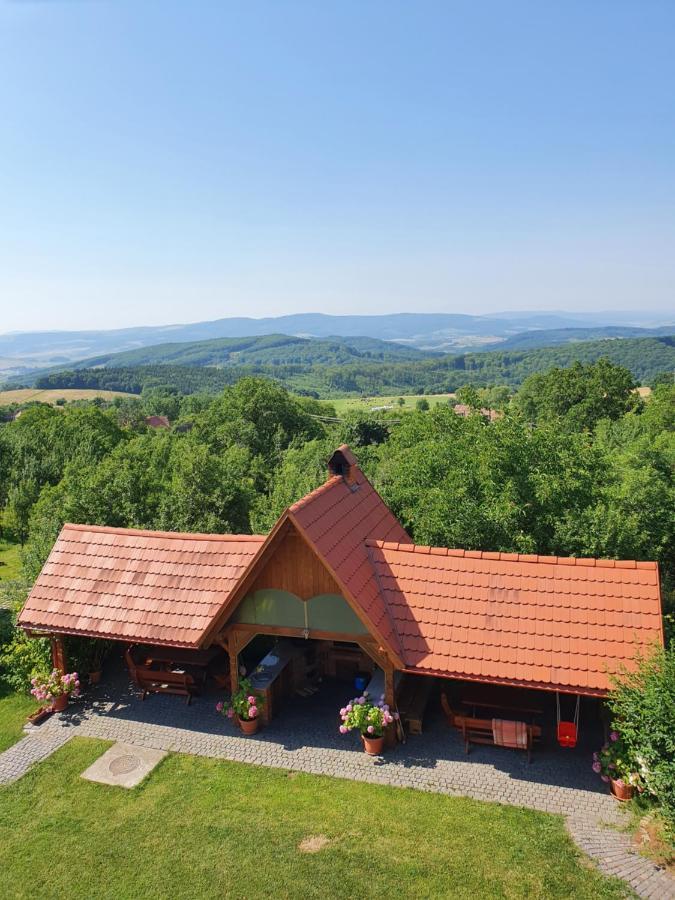 Pensiunea Szilas Panzió Păuleni Exterior foto