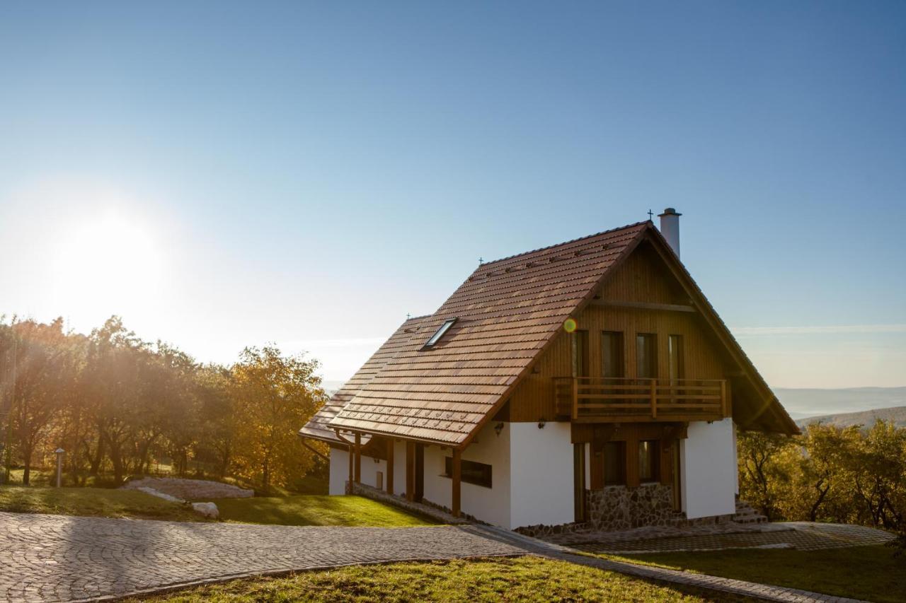 Pensiunea Szilas Panzió Păuleni Exterior foto